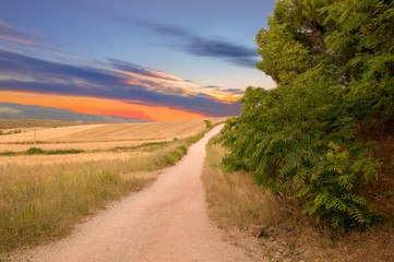 Sunset on the road to Santiago in Navarra