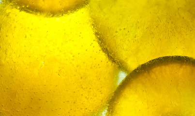 Obraz premium orange slices frozen in ice with backlit abstract concept