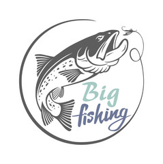 trout  fish
