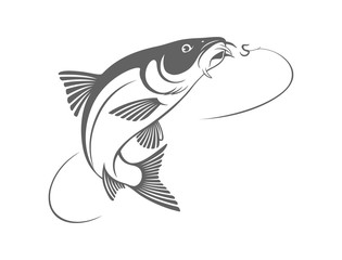 fish barbel
