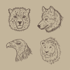 Collection of animal vectors with hand drawing style. Hand drawn animal sketch, Vector line art illustration