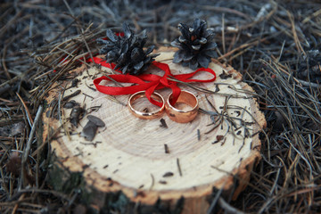 wedding rings on a cut of a tree © dyageleva