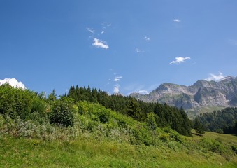 Landscape of the region Appenzell in Switzerland in summer