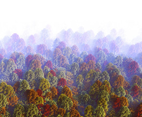 Fototapeta na wymiar 3d View of forest receding into the distance in thick fog