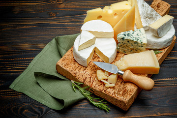 Various types of cheese - parmesan, brie, roquefort, cheddar