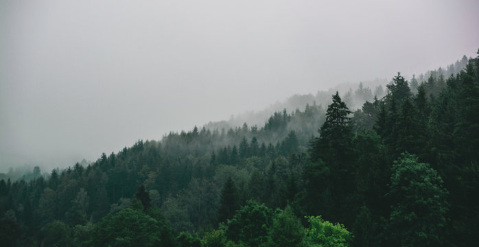 Beauty of travel