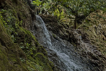 Part of the Krushuna waterfall cascade of river Proinovska near village Krushuna, Bulgaria