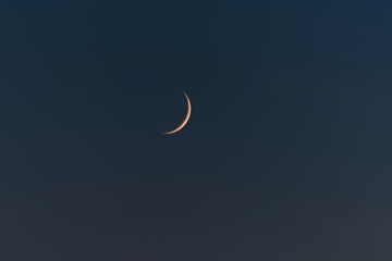Obraz na płótnie Canvas New Moon
