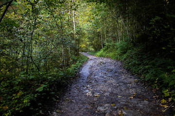 Fototapeta premium Flussweg
