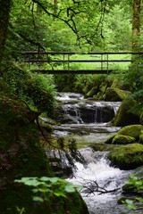 Geroldsauer Wasserfälle in Baden-Baden