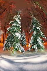 evening park after snowfall