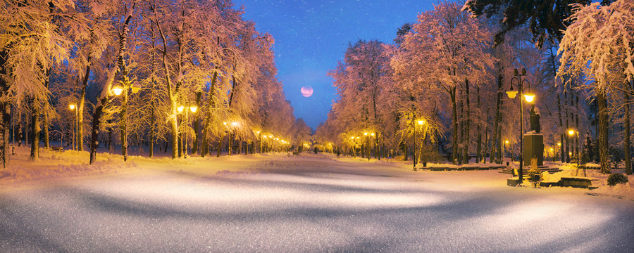 evening park after snowfall
