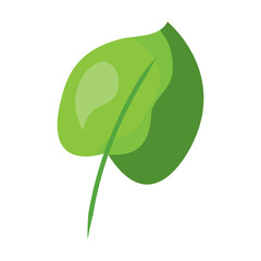 tropical leaf green spring season eco nature vector illustration