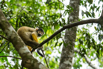 Villa Tunari, Bolivia