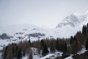 Fototapeta na wymiar Granite mountains covered with snow and winter forest near Mont Blanc Alpes, Italy