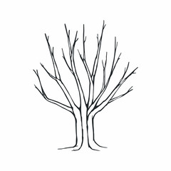 Tree silhouette on white background