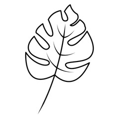 tropical leaf green spring season eco nature vector illustration thin line image