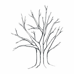 Tree silhouette on white background