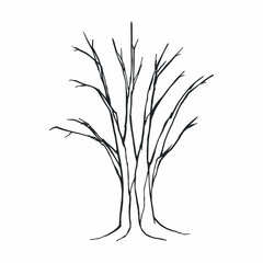 Tree silhouette on white background