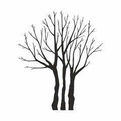 Tree silhouette on white background