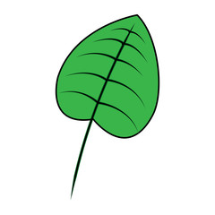 tropical leaf green spring season eco nature vector illustration