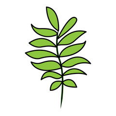 tree branch with green leaves plant natural vector illustration