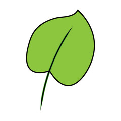 tropical leaf green spring season eco nature vector illustration