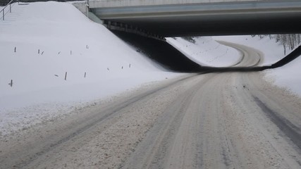 winter road in the woods