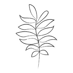 tree branch with green leaves plant natural vector illustration sketch image