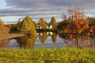 Pond in autumn, yellow leaves, reflection
