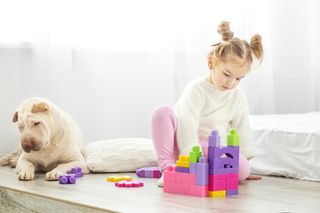 A small child is playing plastic toys in blocks in the room. The dog lies. The concept of lifestyle, childhood, upbringing, family.