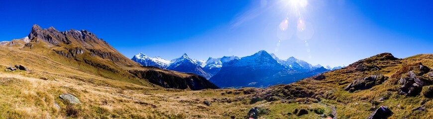 Grindelwald X