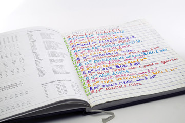 Obraz premium Режим дня,записанный младшей школьницей. 