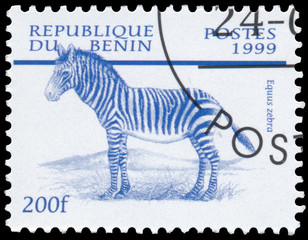 Stamp printed in Benin from the "Mammals " issue shows Mountain Zebra