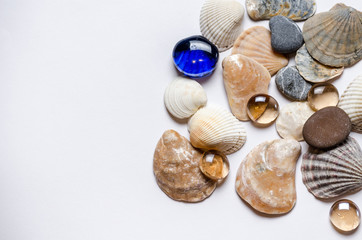Shells with stones and colored glass