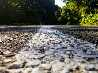 A road suroanded whit foliage