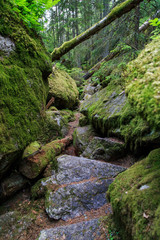 Hiking trail between large rocks in the woods