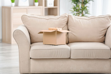 Open parcel on sofa at home