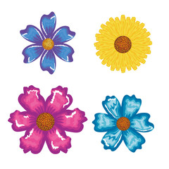 cute flowers decorative icon vector illustration design