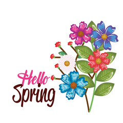 hello spring decorative design vector illustration art