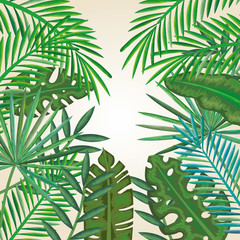 Naklejka na ściany i meble tropical and exotic palms leafs vector illustration design