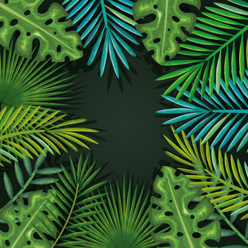 tropical and exotic palms leafs vector illustration design