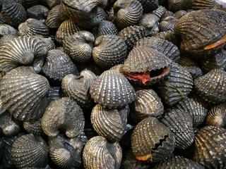 Cockle shell in seafood market,Steamed blanched clams in market
