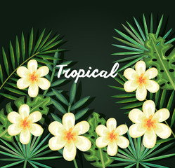 tropical and exotics flowers and leafs vector illustration design