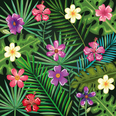 tropical and exotics flowers and leafs vector illustration design