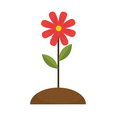 beautiful flower cultivated icon vector illustration design