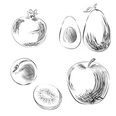 Hand-drawn fruits without color. Pencil drawing. Pomegranate, apple, kiwi, apricot, avocado.