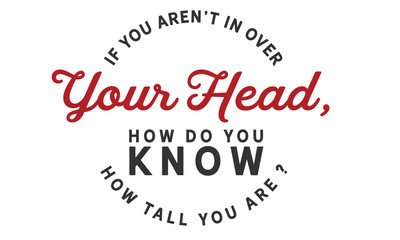 If you aren't in over your head, how do you know how tall you are?