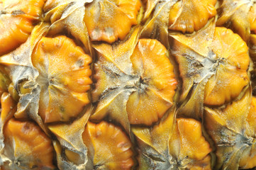 Ananasschale