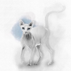 White Sphynx No 01